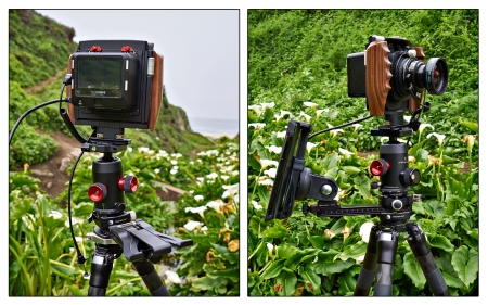Calla Lillies at Garrapata State Beach. Cambo WRS mounted on KPS T5DV geared ballhead and RRS TVC-24 tripod. Phase One IQ180 tethered to Surface Pro 2 with Wolf clamp, KPS T5DV geared ballhead and TVC-24 tripod.